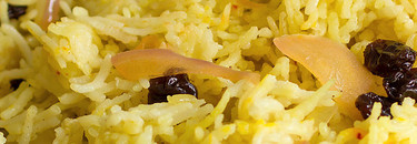 Rice full Size